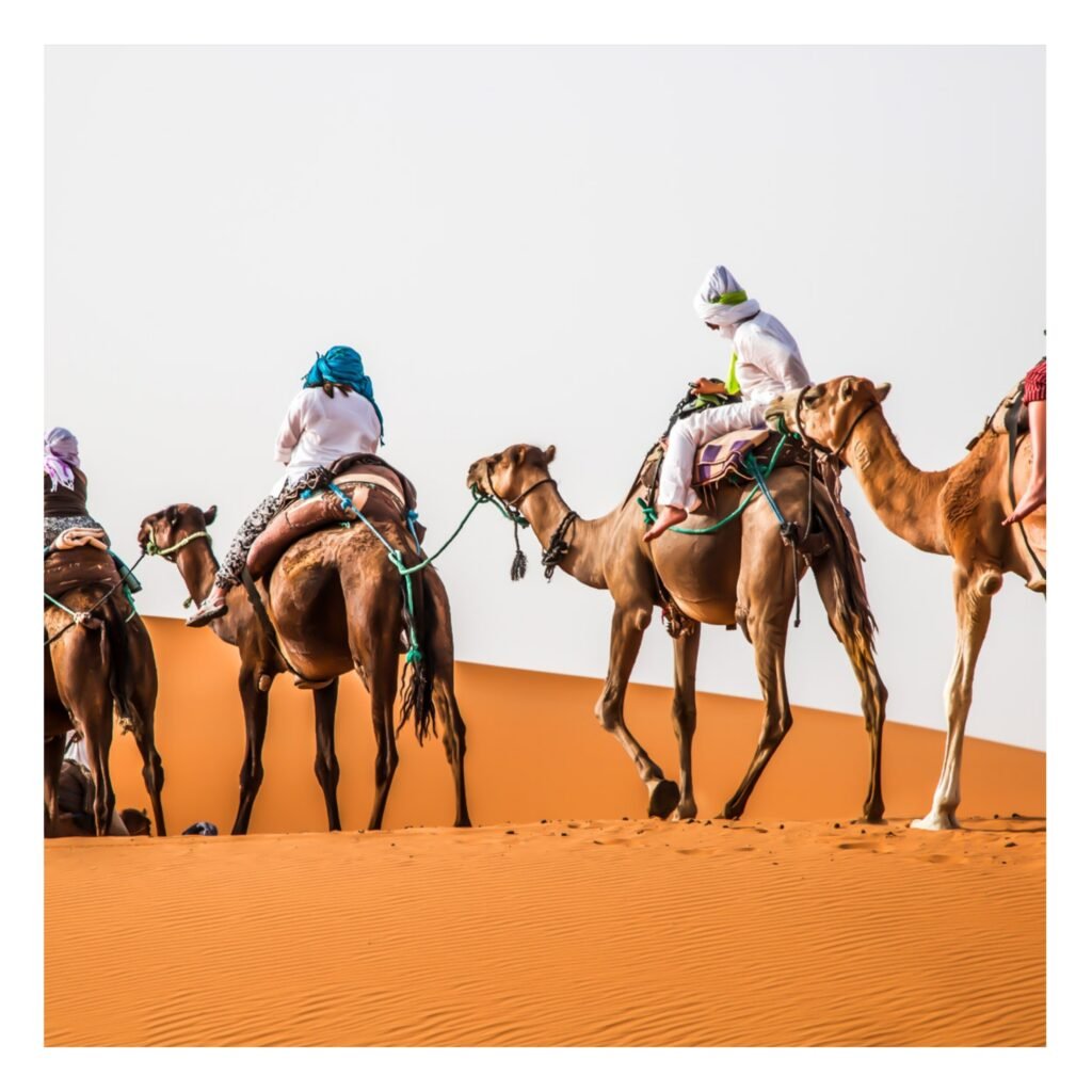 MARRAKECH TO MERZOUGA 3 DAYS TOUR Desert Tours in morocco
